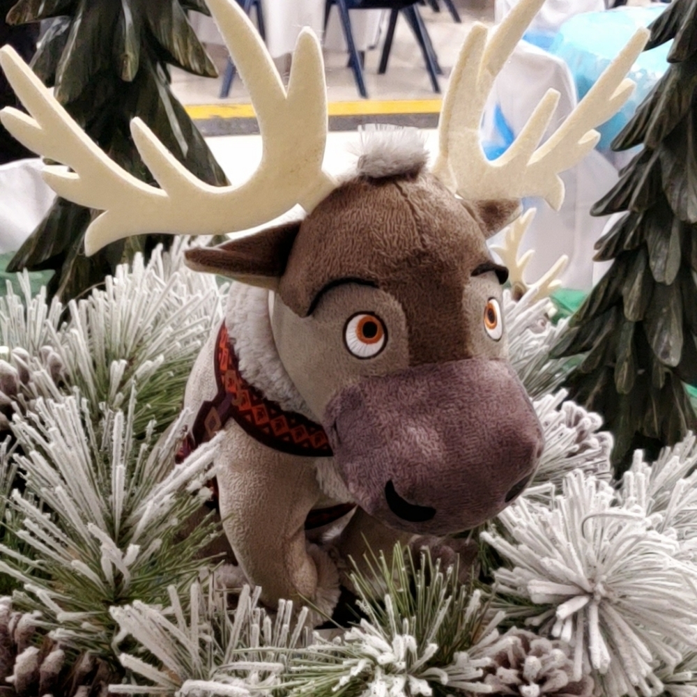 Meet your Posher, L.L.L.